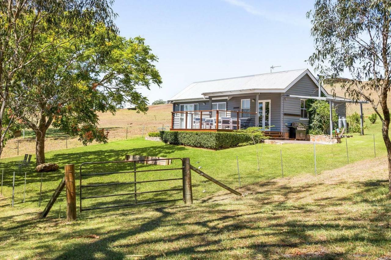 Hollow Tree Farm Toowoomba Dış mekan fotoğraf